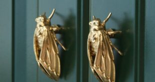 Kitchen Door Knobs