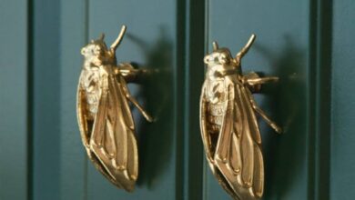 Kitchen Door Knobs