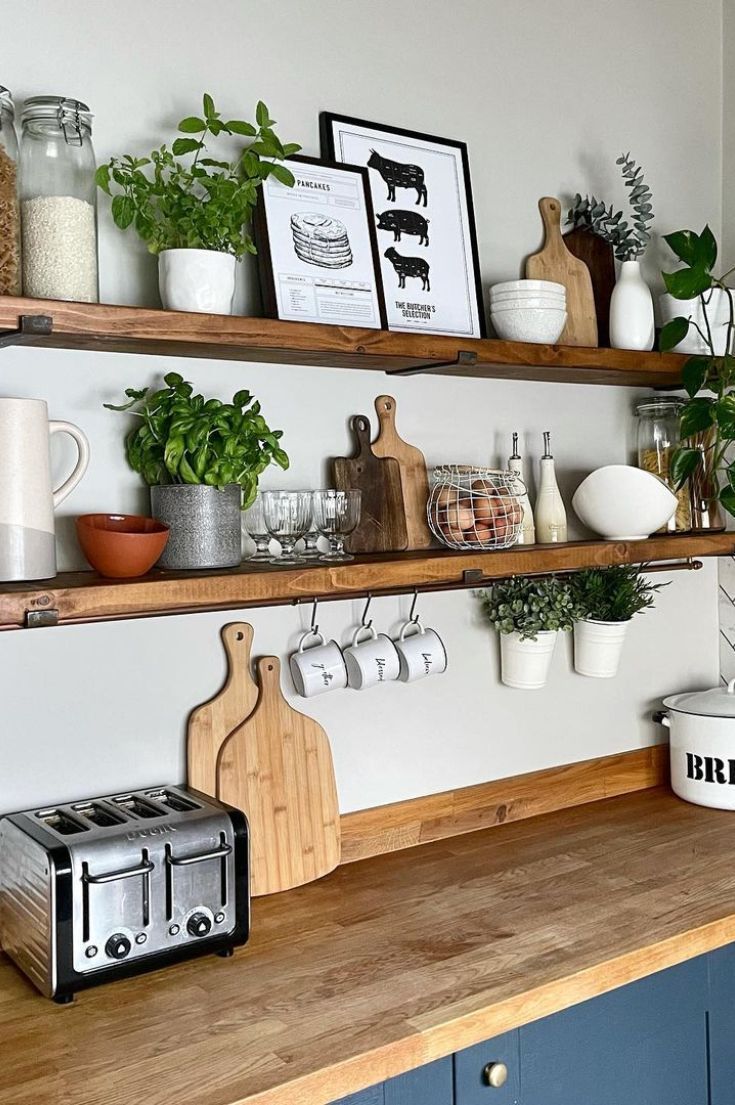 Kitchen Shelf Guide for Organizing Your Space