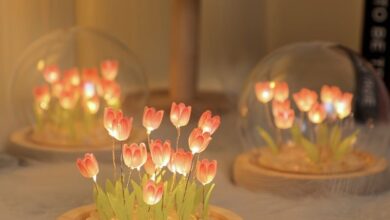 LED lights