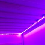 LED lights