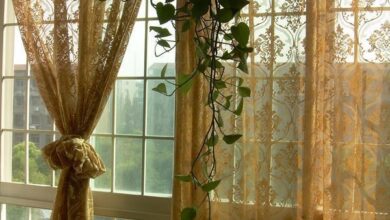Lace Curtains