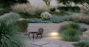 Landscape Design Ideas