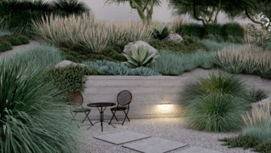 Landscape Design Ideas