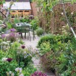 Landscape Design Ideas