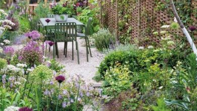 Landscape Design Ideas