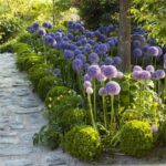 Landscape Design Ideas