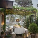 Landscape and outdoor lights