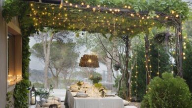 Landscape and outdoor lights
