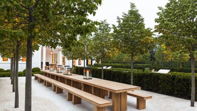 Landscape and outdoor lights