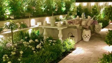 Landscape and outdoor lights