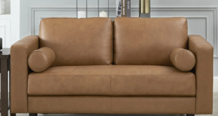 Leather Loveseat Sleeper