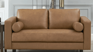 Leather Loveseat Sleeper