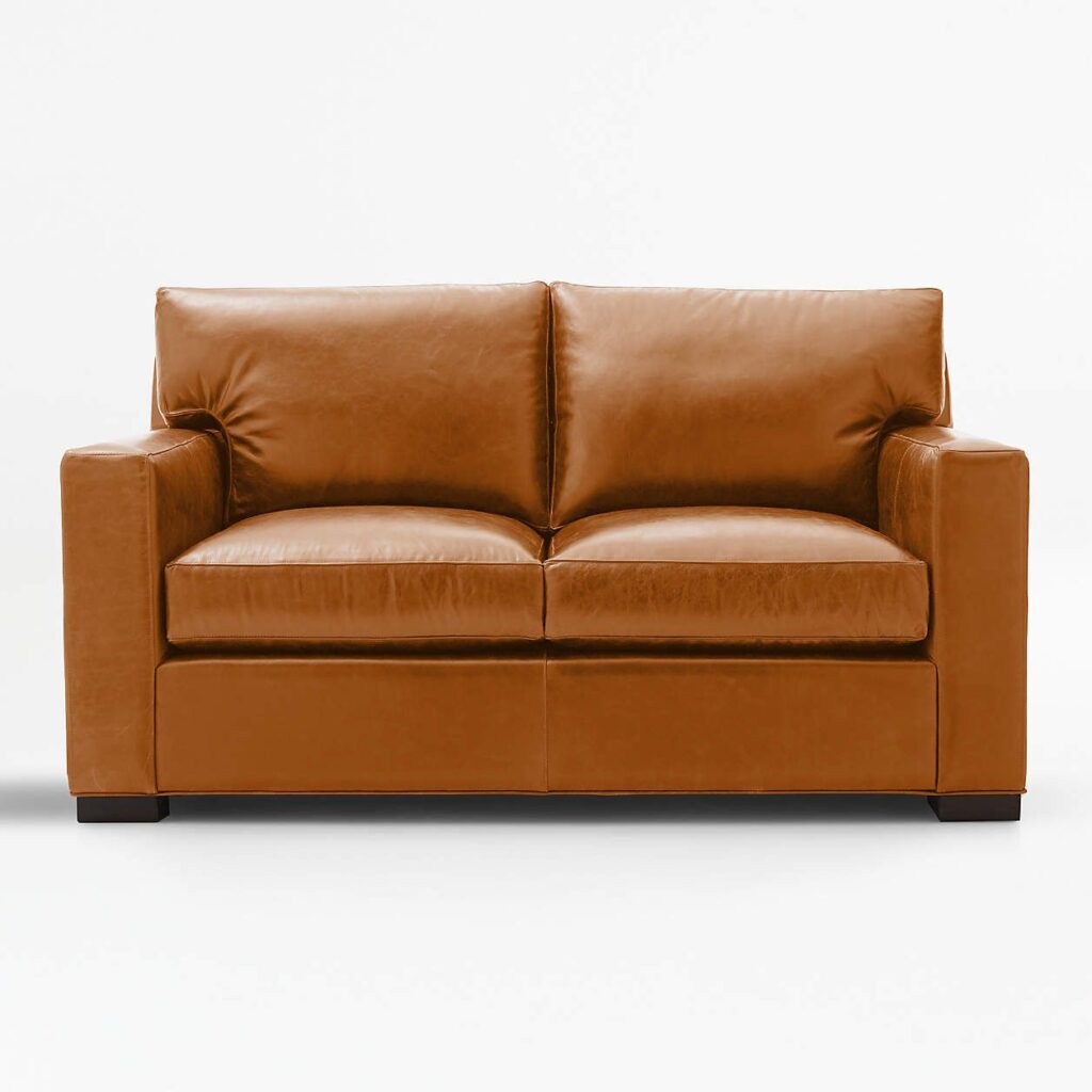 Leather Loveseat Sleeper