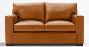 Leather Loveseat Sleeper