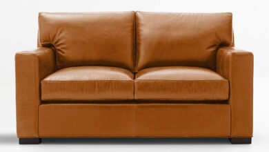 Leather Loveseat Sleeper