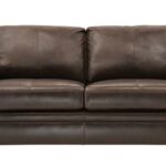 Leather Loveseat Sleeper
