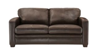 Leather Loveseat Sleeper