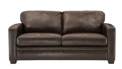 Leather Loveseat Sleeper