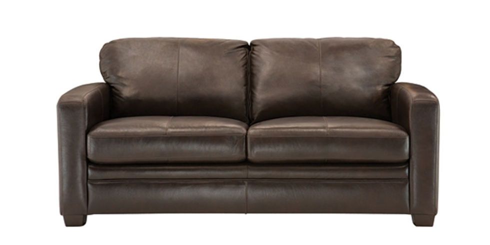 Leather Loveseat Sleeper