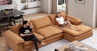 Leather Sectional Sofa Beds