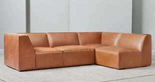 Leather Sectional Sofa Beds