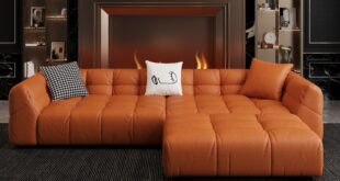 Leather Sectional Sofa Beds