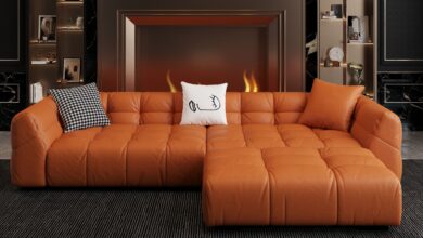 Leather Sectional Sofa Beds