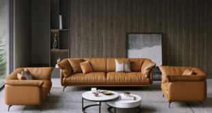 Leather Sofa Set