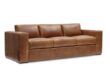 Leather Sofa Sleeper