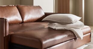 Leather Sofa Sleeper