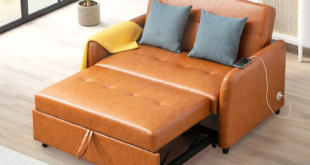 Leather Sofa Sleeper