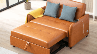 Leather Sofa Sleeper