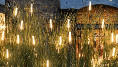 Led Landscape Lighting