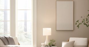 Living Room Paint Colors