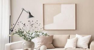 Living Room Paint Colors