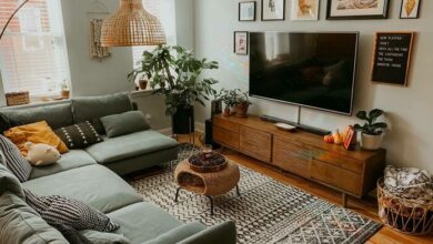 Living room setup ideas