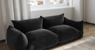 Loveseat Couch