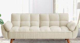 Loveseat Futon