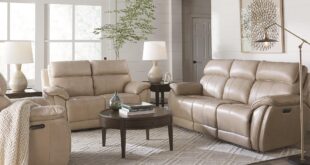 Loveseat Recliner