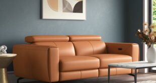 Loveseat Recliner