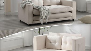 Loveseat Sleeper Sofa