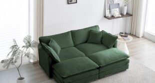 Loveseat Sleeper Sofa