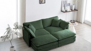 Loveseat Sleeper Sofa
