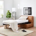 Loveseat Sleeper Sofa