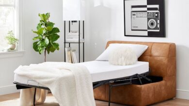 Loveseat Sleeper Sofa