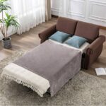 Loveseat Sleeper Sofa