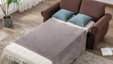 Loveseat Sleeper Sofa