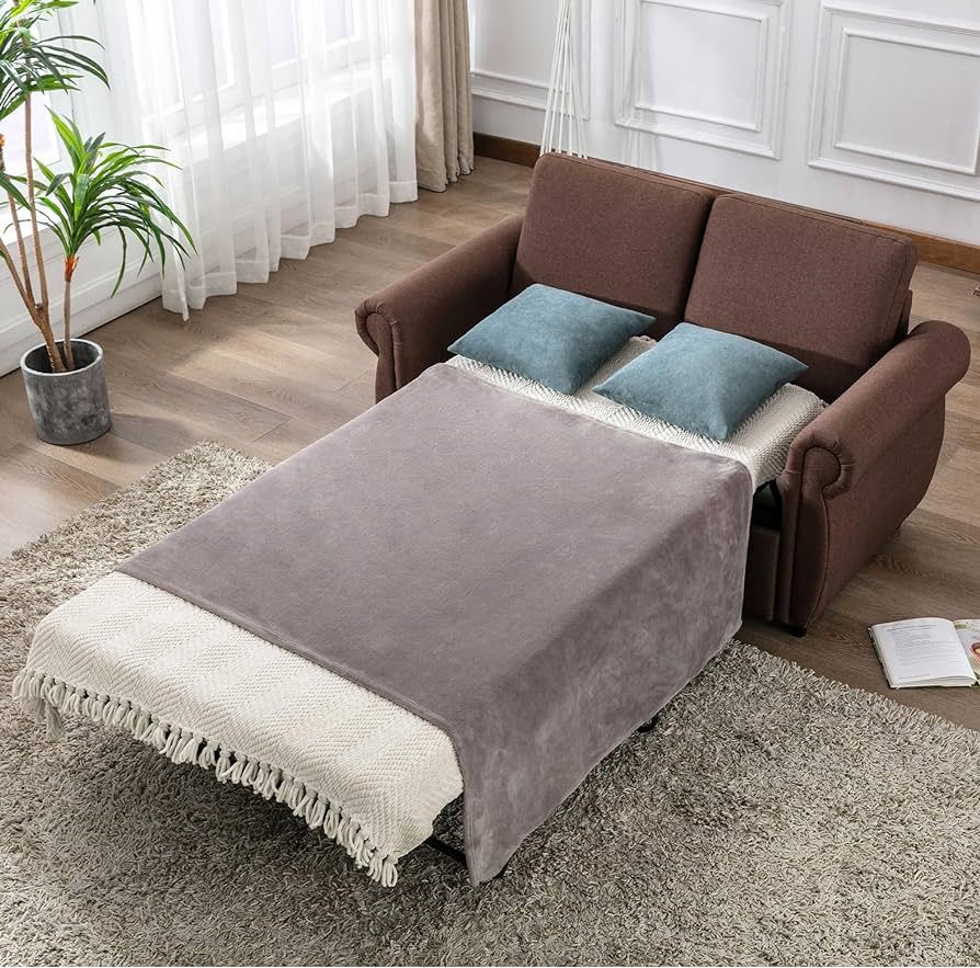 Loveseat Sleeper Sofa