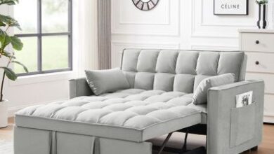 Loveseat Sofa Sleeper